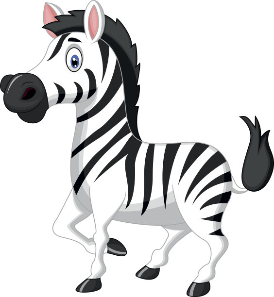 zebra