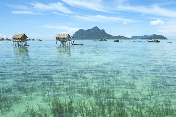 borneo
