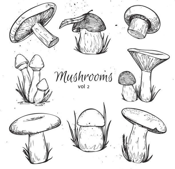 toadstool