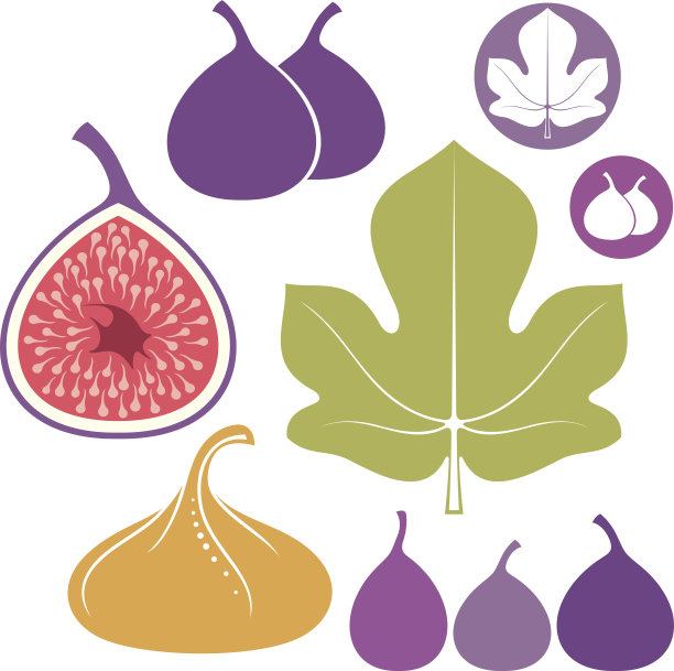 fig