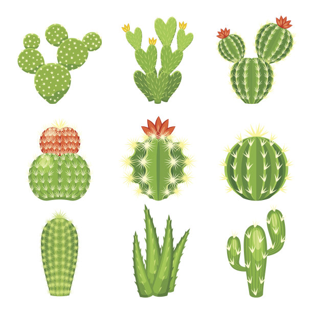 cactus