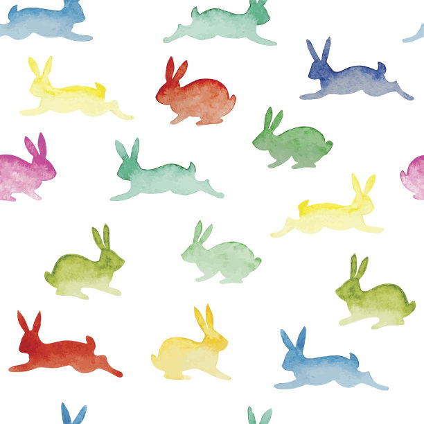 兔子高清图片