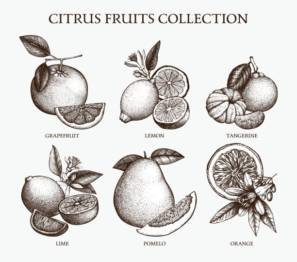 illustrations