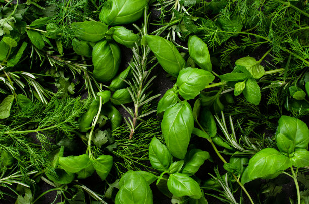 herb