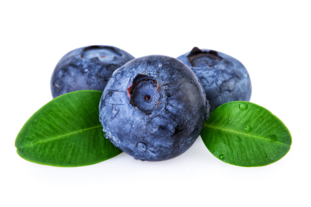 ericaceae