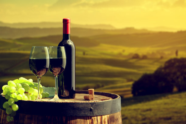 vineyard