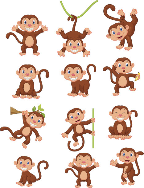 monkey