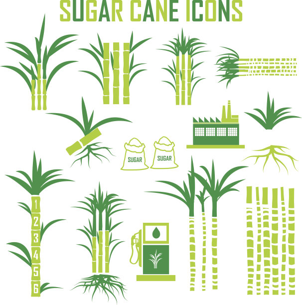 sugar