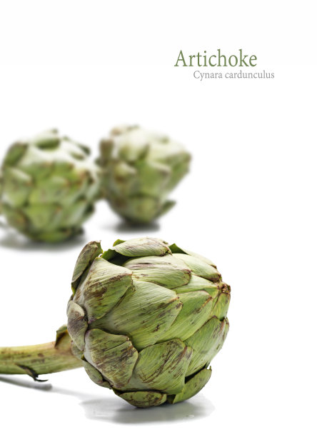artichoke