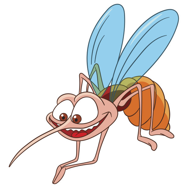 mosquito