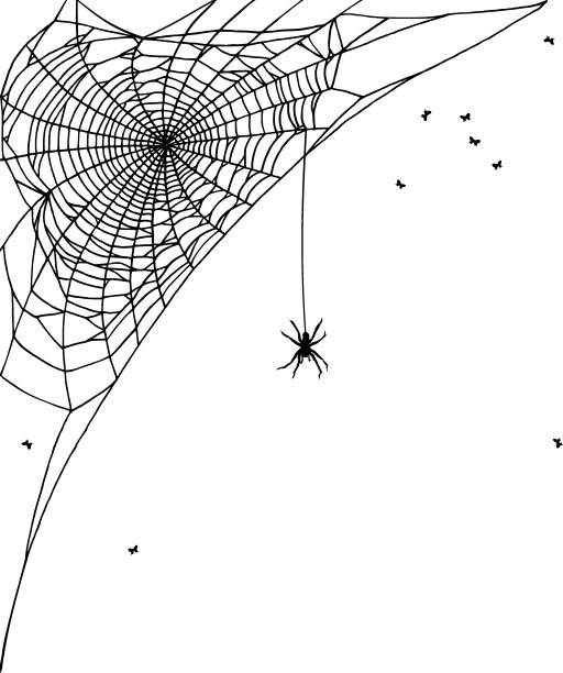 araneae