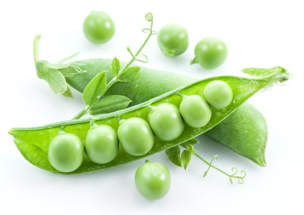 豌豆
