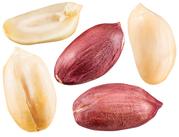 peanut