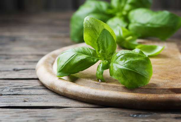 basil