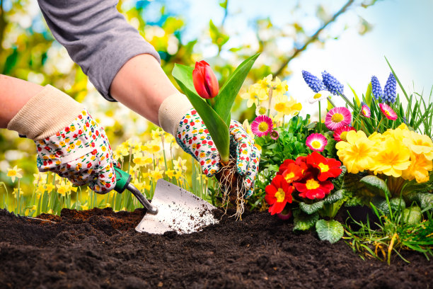 horticulture