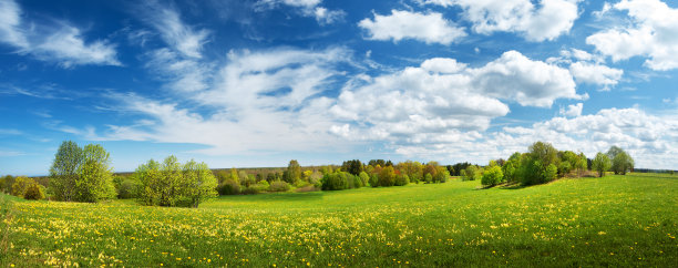 springtime