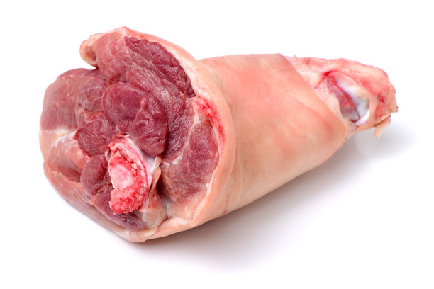pig