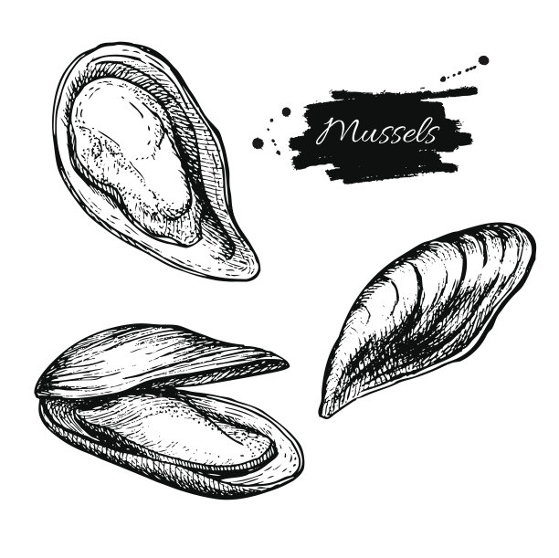 mussels