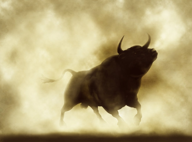 bull
