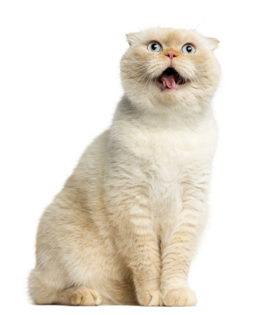 angry