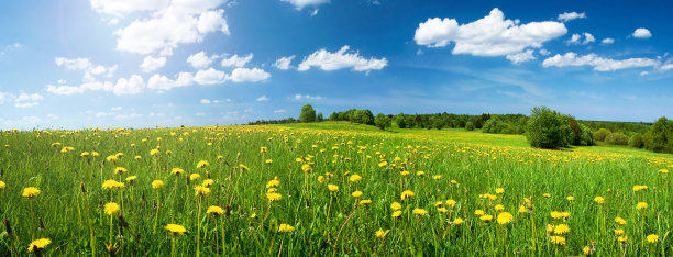 springtime