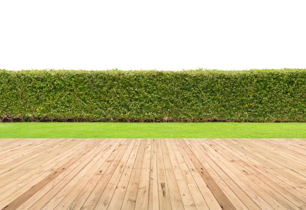 fence