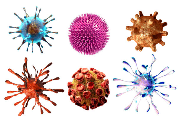 bacteria