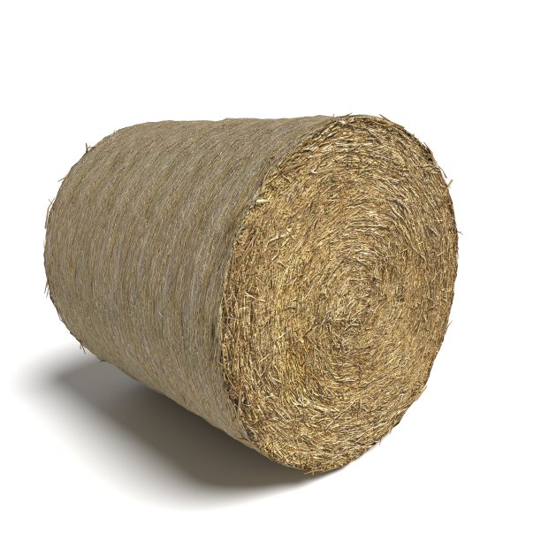 hay