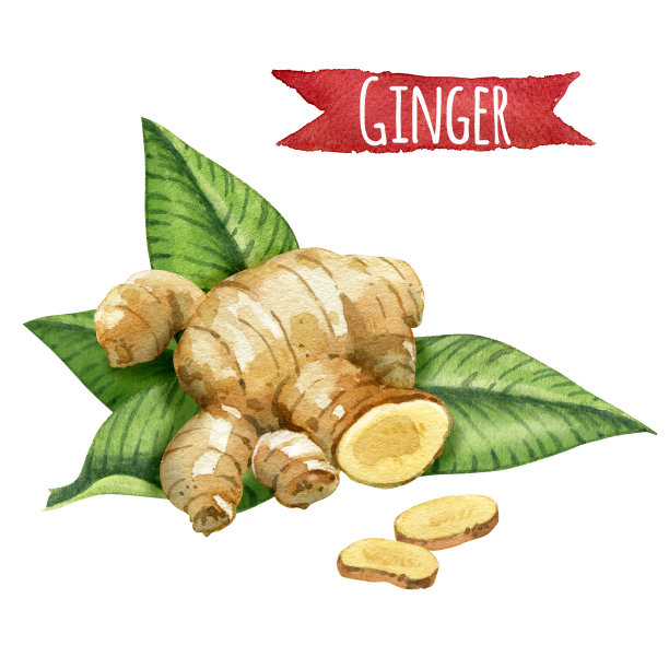 ginger