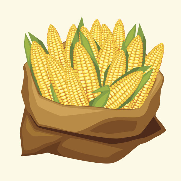 maize