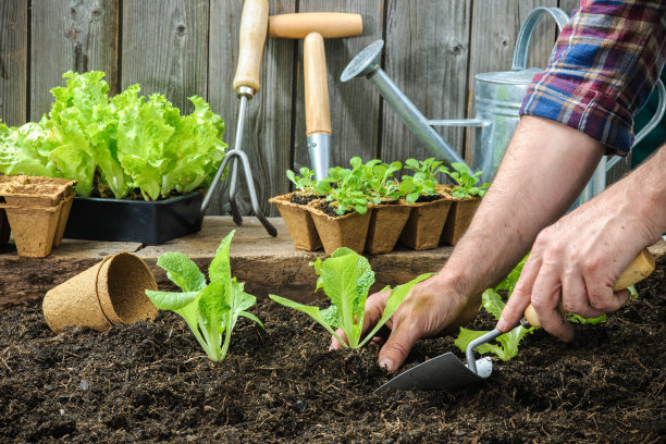horticulture