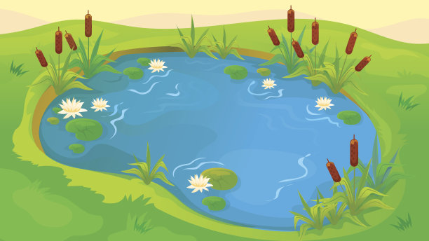 ponds