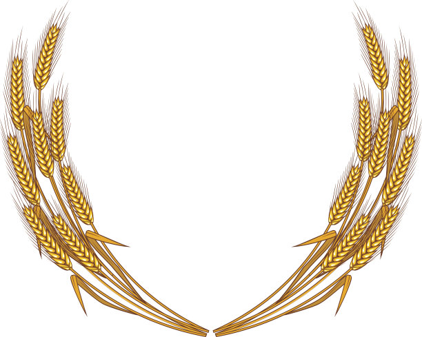 人体,人的耳朵,田园风光