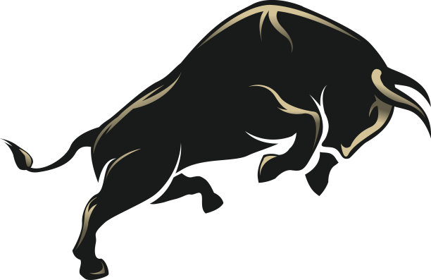 bull