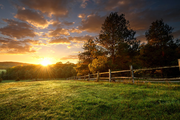 farm