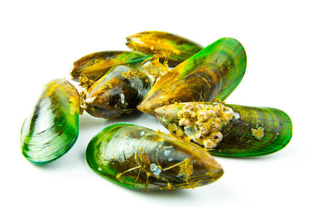 mussels