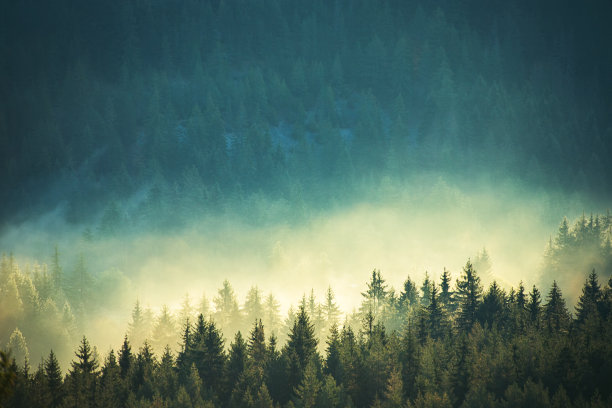 misty