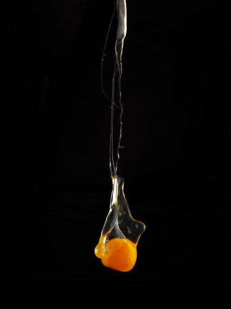 yolk