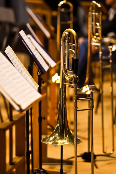 horns