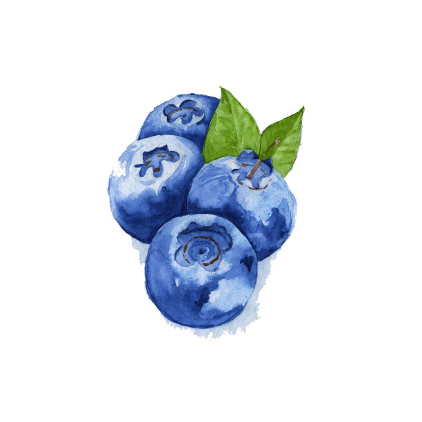 ericaceae