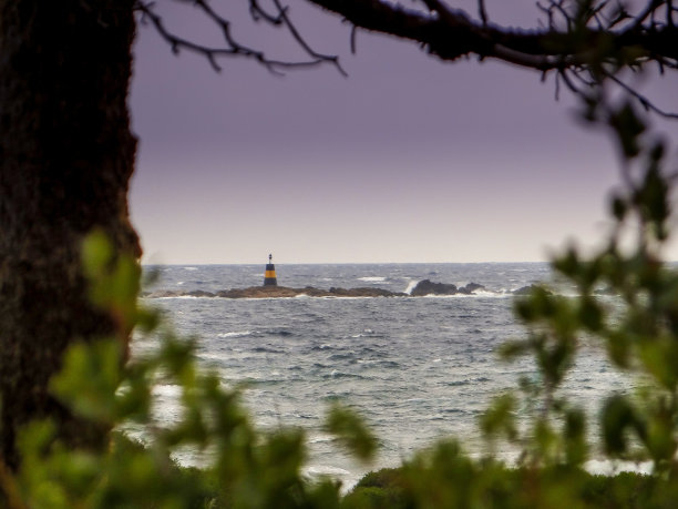 ile