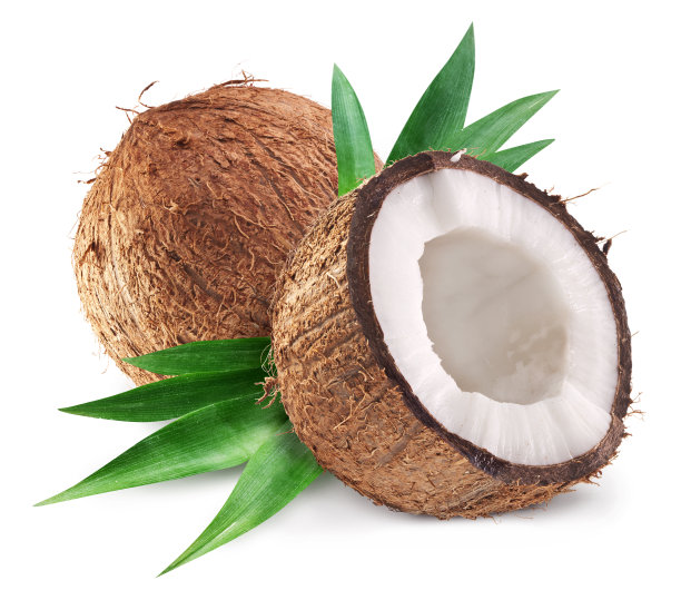 coconut