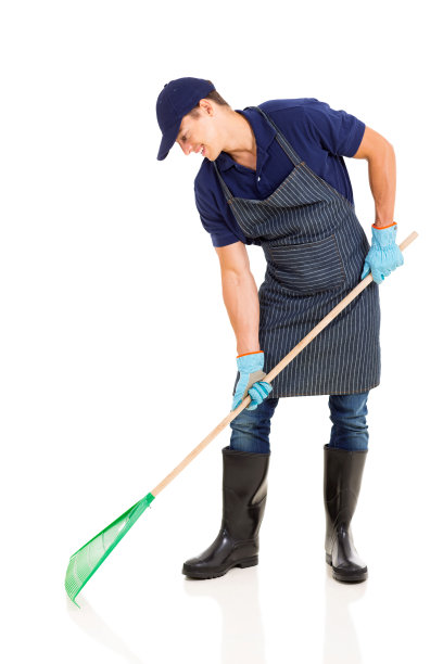 rake