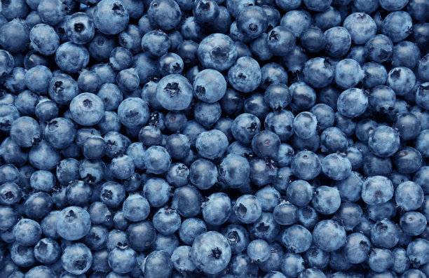 ericaceae