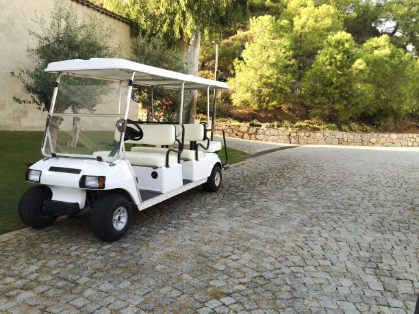 buggy