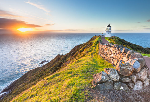 nz