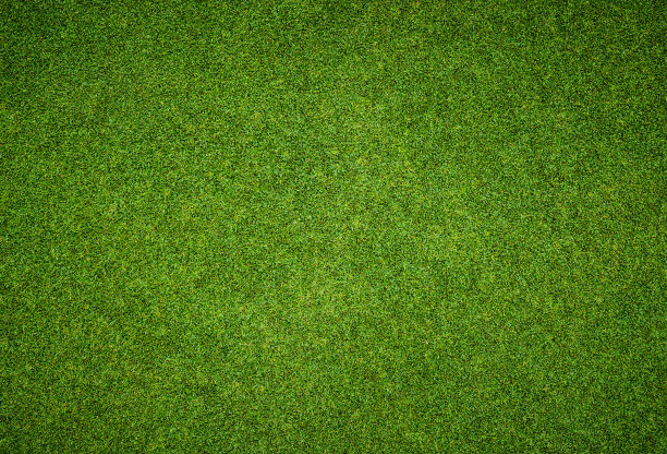 绿草背景墙