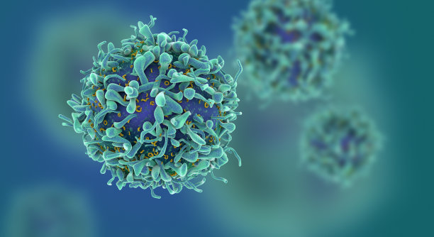 cd4