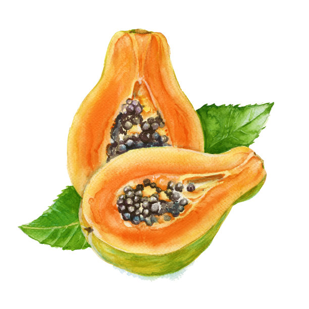 papaya