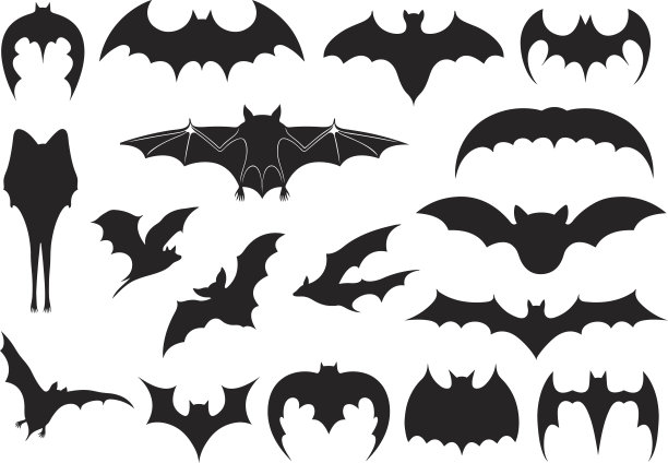 bat